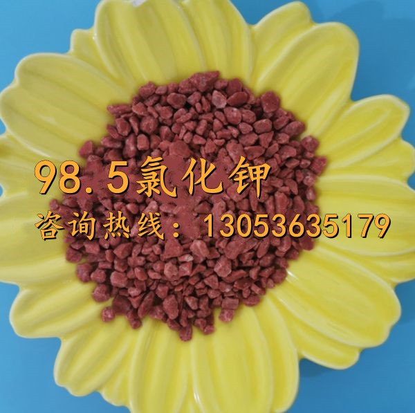 98.5氯化鉀